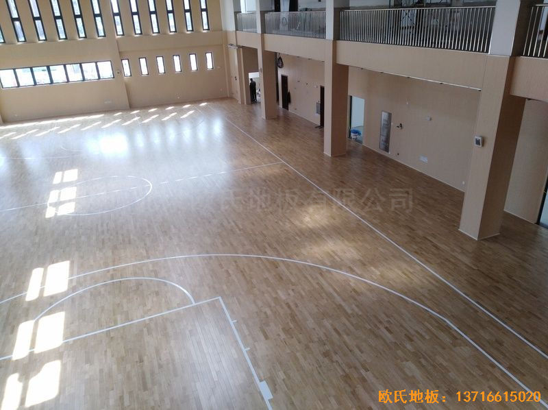 �Ϻ��ζ��^(q��)���С�W(xu��)�\(y��n)��(d��ng)�ذ���b����