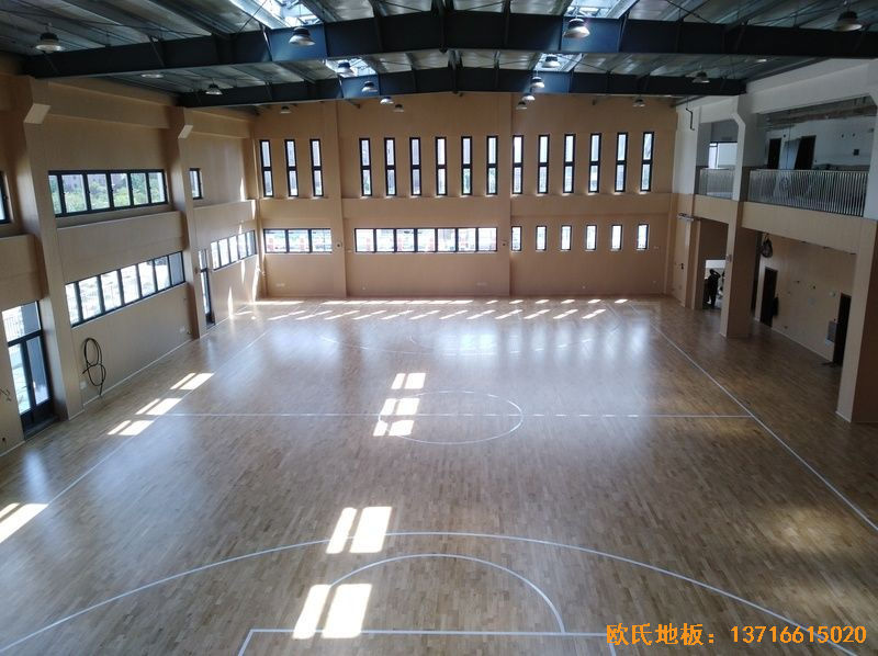 �Ϻ��ζ��^(q��)���С�W(xu��)�\(y��n)��(d��ng)�ذ���b����