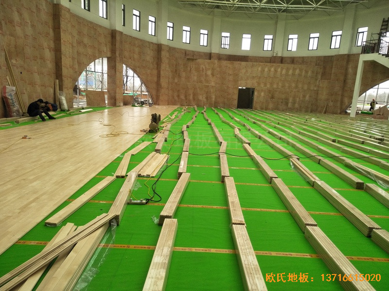 �����s����ɫ����С�W(xu��)�\���^�w��ľ�ذ�ʩ������3