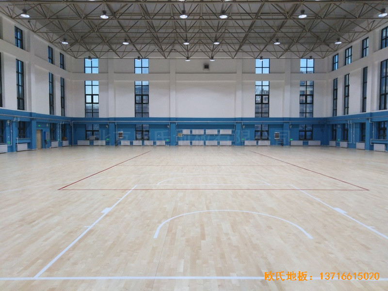 ���ɹ����m���I�WԺ�@���^�\��ľ�ذ尲�b����5