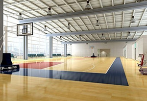 �\(y��n)��(d��ng)ľ�ذ�