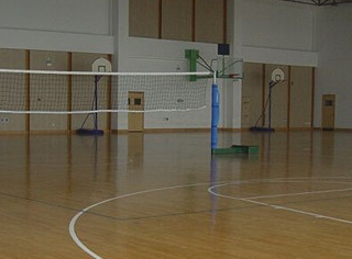 ��(sh��)ľ�\(y��n)�ӵذ�