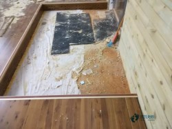 ��W�\��ľ�ذ屣�B(y��ng)֪�R