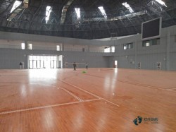 學校俄勒岡松舞臺體育場地木地板施工團隊